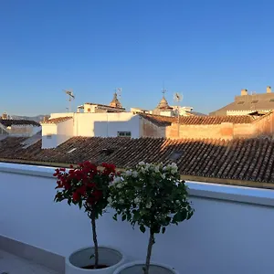 Apartment Atarazanas Suite, Atico Con Terraza, Malaga